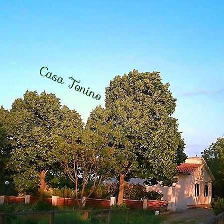 הוילה פיסטיצ'י Casa Tonino מראה חיצוני תמונה